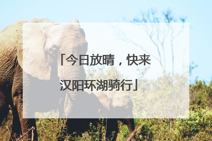 今日放晴，快来汉阳环湖骑行