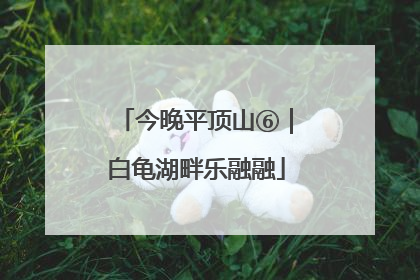 今晚平顶山⑥｜白龟湖畔乐融融