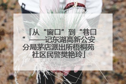 从“窗口”到“巷口”——记东湖高新公安分局茅店派出所梧桐苑社区民警樊艳玲