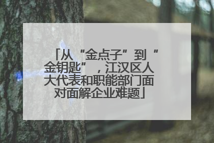 从“金点子”到“金钥匙”，江汉区人大代表和职能部门面对面解企业难题