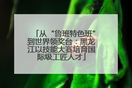 从“鲁班特色班”到世界领奖台：黑龙江以技能大赛培育国际级工匠人才