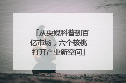 从央媒科普到百亿市场，六个核桃打开产业新空间