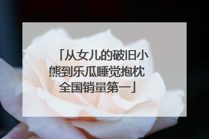 从女儿的破旧小熊到乐瓜睡觉抱枕全国销量第一