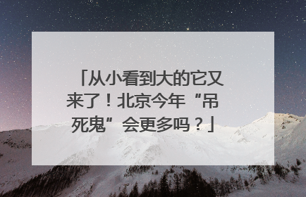从小看到大的它又来了！北京今年“吊死鬼”会更多吗？