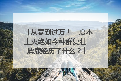 从零到过万！一度本土灭绝如今种群复壮 麋鹿经历了什么？