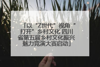 以“Z世代”视角“打开”乡村文化 四川省第五届乡村文化振兴魅力竞演大赛启动