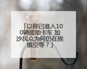 以称已准入100辆援助卡车 加沙民众为何仍在挨饿空等？