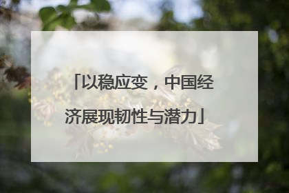 以稳应变，中国经济展现韧性与潜力