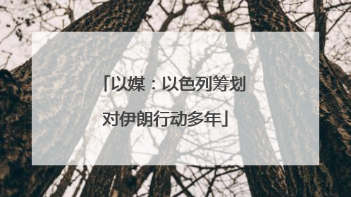 以媒：以色列筹划对伊朗行动多年