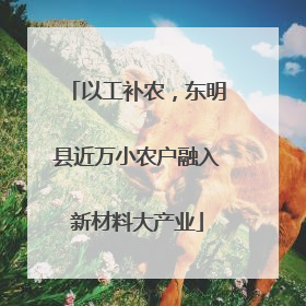 以工补农，东明县近万小农户融入新材料大产业