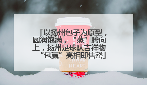 以扬州包子为原型，圆润饱满，“蒸”腾向上，扬州足球队吉祥物“包赢”亮相即售罄