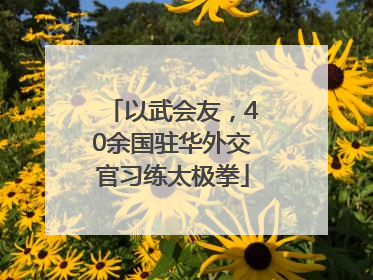 以武会友，40余国驻华外交官习练太极拳
