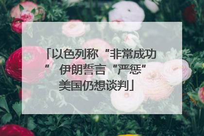 以色列称“非常成功” 伊朗誓言“严惩” 美国仍想谈判