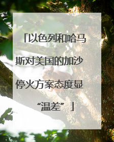 以色列和哈马斯对美国的加沙停火方案态度显“温差”
