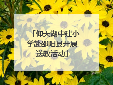 仰天湖中建小学赴邵阳县开展送教活动