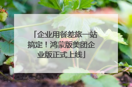 企业用餐差旅一站搞定！鸿蒙版美团企业版正式上线