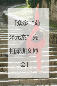 众多“菏泽元素”亮相深圳文博会