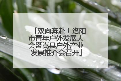 双向奔赴！洛阳市青年户外发展大会暨嵩县户外产业发展推介会召开