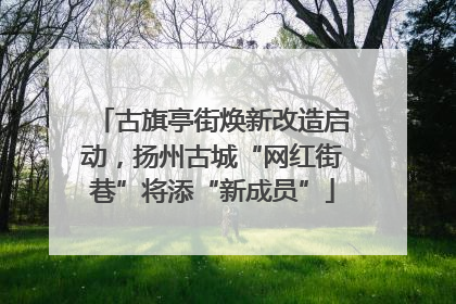古旗亭街焕新改造启动，扬州古城“网红街巷”将添“新成员”