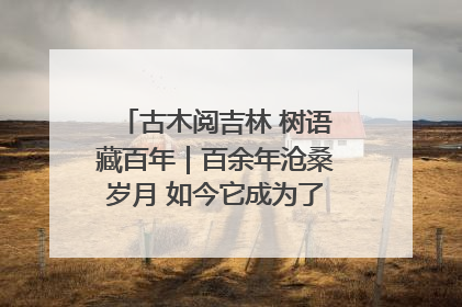 古木阅吉林 树语藏百年｜百余年沧桑岁月 如今它成为了“镇园之宝”