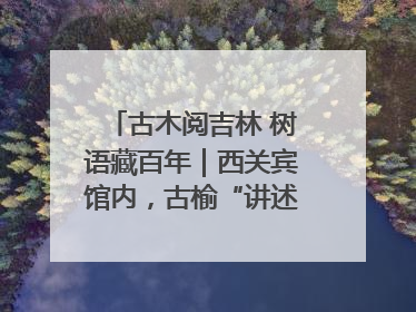 古木阅吉林 树语藏百年｜西关宾馆内，古榆“讲述”时光絮语