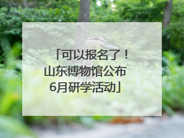 可以报名了！山东博物馆公布6月研学活动