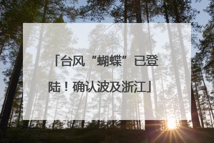 台风“蝴蝶”已登陆！确认波及浙江