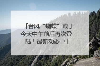 台风“蝴蝶”或于今天中午前后再次登陆！最新动态→