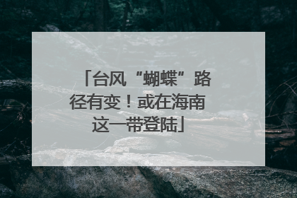 台风“蝴蝶”路径有变！或在海南这一带登陆