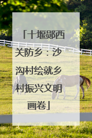 十堰郧西关防乡：沙沟村绘就乡村振兴文明画卷