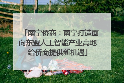 南宁侨商：南宁打造面向东盟人工智能产业高地给侨商提供新机遇