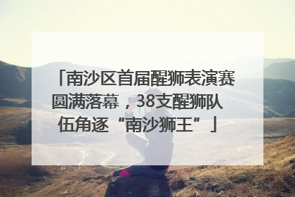 南沙区首届醒狮表演赛圆满落幕，38支醒狮队伍角逐“南沙狮王”