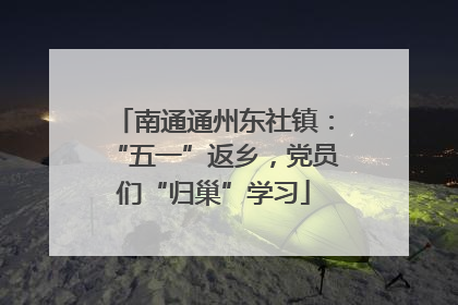 南通通州东社镇：“五一”返乡，党员们“归巢”学习