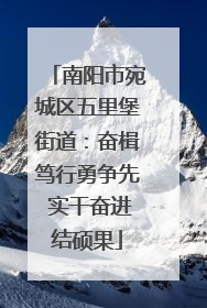南阳市宛城区五里堡街道：奋楫笃行勇争先 实干奋进结硕果