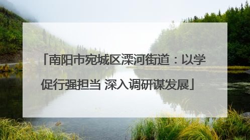 南阳市宛城区溧河街道：以学促行强担当 深入调研谋发展