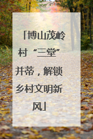 博山茂岭村“三堂”并蒂，解锁乡村文明新风
