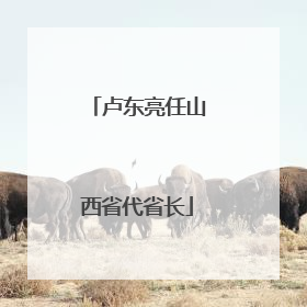 卢东亮任山西省代省长