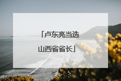 卢东亮当选山西省省长