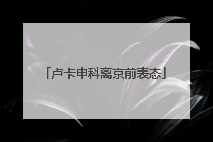 卢卡申科离京前表态