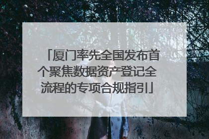 厦门率先全国发布首个聚焦数据资产登记全流程的专项合规指引