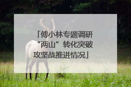 傅小林专题调研“两山”转化突破攻坚战推进情况