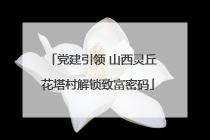 党建引领 山西灵丘花塔村解锁致富密码