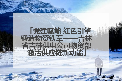 党建赋能 红色引擎锻造物资铁军——吉林省吉林供电公司物资部激活供应链新动能