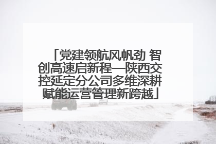 党建领航风帆劲 智创高速启新程—陕西交控延定分公司多维深耕赋能运营管理新跨越