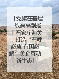 党旗在基层一线高高飘扬丨石家庄海关：打造“有呼必应 有困必解”关企互动新生态