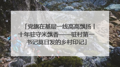 党旗在基层一线高高飘扬丨十年驻守米飘香——驻村第一书记莫日发的乡村印记