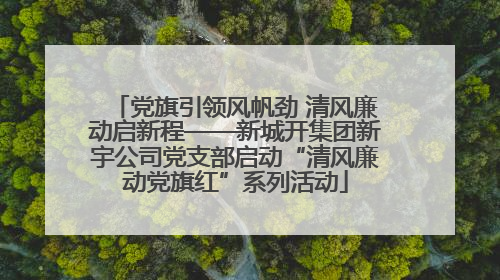 党旗引领风帆劲 清风廉动启新程——新城开集团新宇公司党支部启动“清风廉动党旗红”系列活动