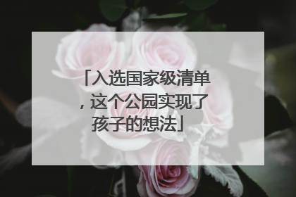 入选国家级清单，这个公园实现了孩子的想法