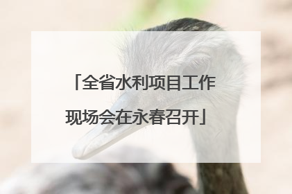 全省水利项目工作现场会在永春召开