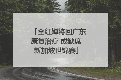 全红婵将回广东康复治疗 或缺席新加坡世锦赛